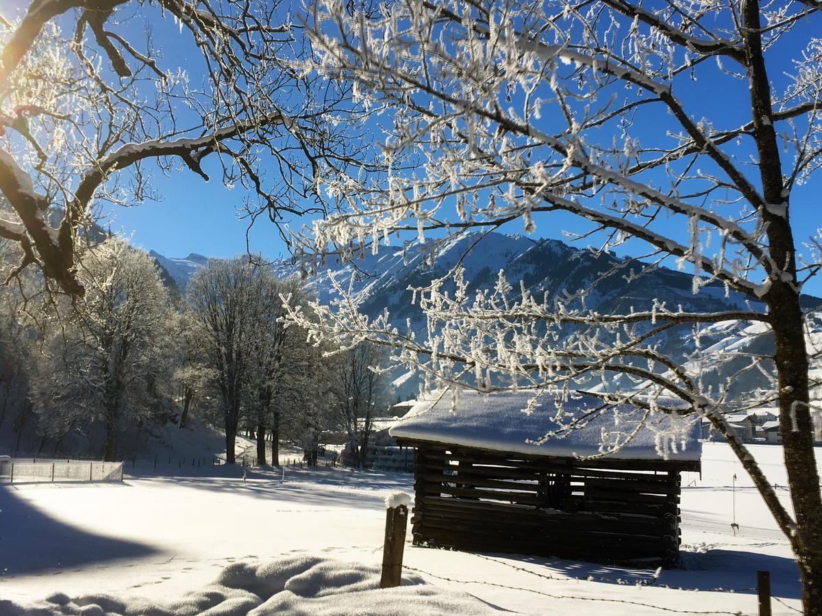 Johannahof Appartements Kaprun Esterno foto